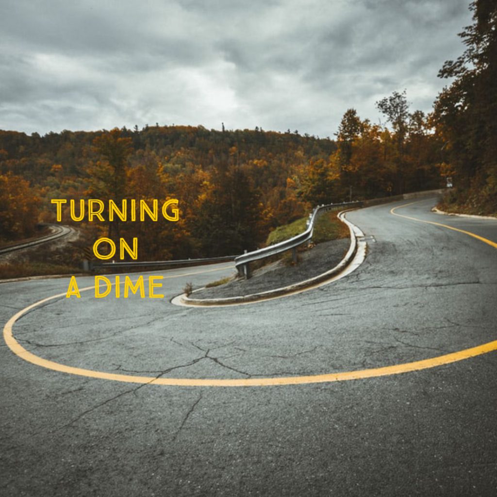 Turning on a Dime DEANNA DAVIS